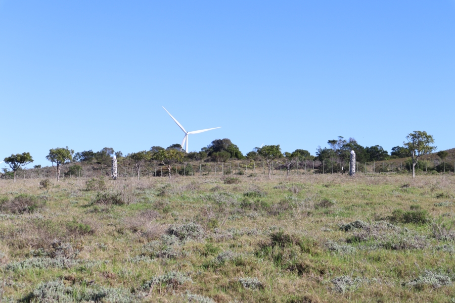 0 Bedroom Property for Sale in Twin Valley Eastern Cape